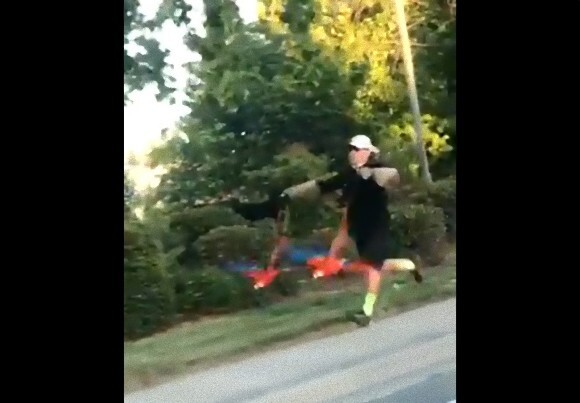 世界珍百景 鳥2羽にリードを付けて散歩させる男性が目撃される アメリカ ニコニコニュース