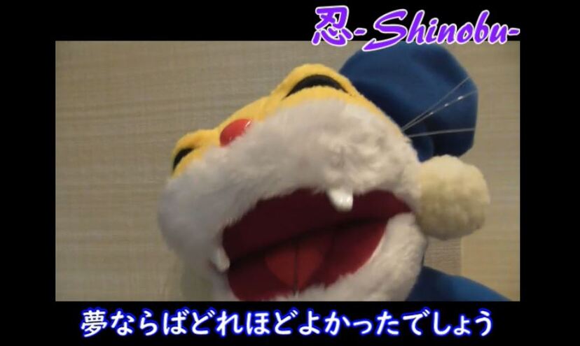 にゃんちゅ b828x800l.webp?key=