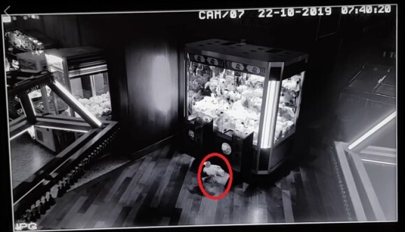 リアル トイストーリーかな Ufoキャッチャーから勝手にぬいぐるみが飛び出す怪奇現象 その正体は イギリス ニコニコニュース リアル トイストーリーかな Ufoキャッチャーから勝手にぬいぐるみが飛び出す怪奇現象 その正体は イギリス ニコニコニュース