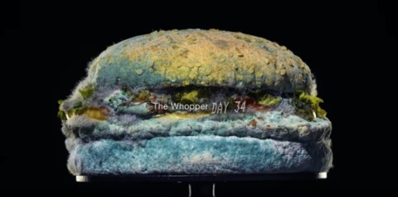 バーガーキング カビだらけのハンバーガーを誇らしげに宣伝 アメリカ ニコニコニュース バーガーキング カビだらけのハンバーガーを誇らしげに宣伝 アメリカ ニコニコニュース