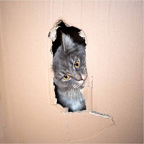 猫が段ボールを食べちゃう もしかしたら 異食症 かも ニコニコニュース 猫が段ボールを食べちゃう もしかしたら 異食症 かも ニコニコニュース