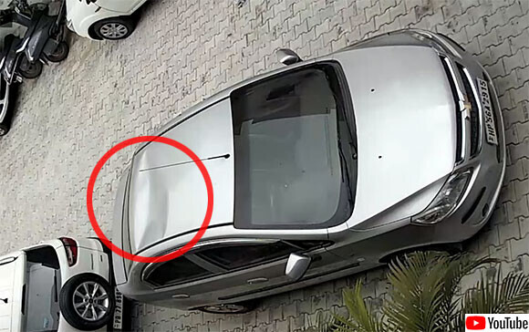 駐車していた車の屋根がへこむというアクシデント 犯人は意外な人物 っていうか動物だった インド ニコニコニュース 駐車していた車の屋根がへこむというアクシデント 犯人は意外な人物 っていうか動物だった インド ニコニコニュース