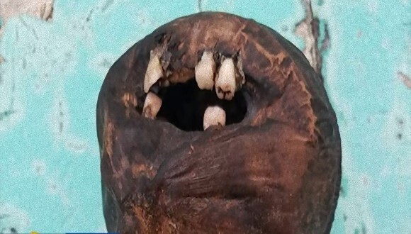 ブードゥーの呪いか何かか 本物の人間の歯が埋め込まれた不気味な人形が海岸に打ち上げられる アメリカ ニコニコニュース