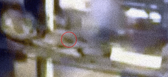宇宙人は存在していた ロズウェル事件の新たな写真が公開される 閲覧注意 ニコニコニュース 宇宙人は存在していた ロズウェル事件の新たな写真が公開される 閲覧注意 ニコニコニュース