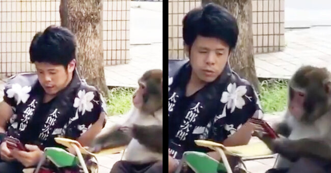 外国人 え 日本人って猿と会話できんの スマホを見て仲良く休憩する猿と人のあまりにも自然なコミュニケーションに驚 ニコニコニュース 外国人 え 日本人って猿と会話できんの スマホを見て仲良く休憩する猿と人のあまりにも自然なコミュニケーションに驚 ニコニコニュース