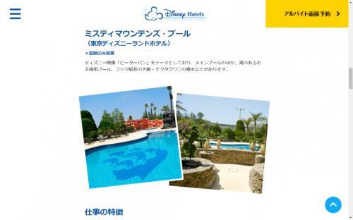 東京ディズニーランドホテルの ピーター パン プール 今年の夏から大人2 000円の有料化に だってtdrが好きっ ニコニコニュース