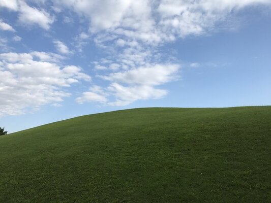 Windows Xpの壁紙そっくりな草原が都内で発見される ニコニコニュース Windows Xpの壁紙そっくりな草原が都内で発見される ニコニコニュース