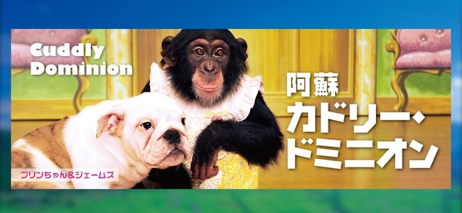 志村どうぶつ園 で16年共演 パンくんやプリンちゃんの動物園が志村けんさんを追悼 あの笑顔を見られないと思うと何と ニコニコニュース 志村どうぶつ園 で16年共演 パンくんやプリンちゃんの動物園が志村けんさんを追悼 あの笑顔を見られないと思うと何と ニコニコニュース