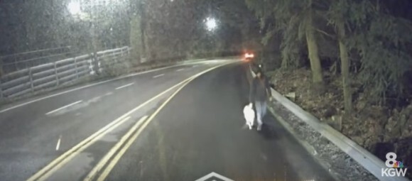 男性が連れていた犬に違和感を感じたバス運転手 犬が盗まれていたことに気づき飼い主に返す アメリカ ニコニコニュース