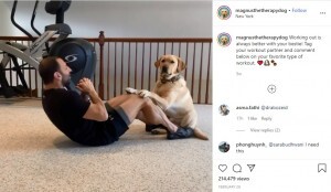 自主隔離中に犬と筋トレする男性 真剣度100 で大注目 米 動画あり ニコニコニュース