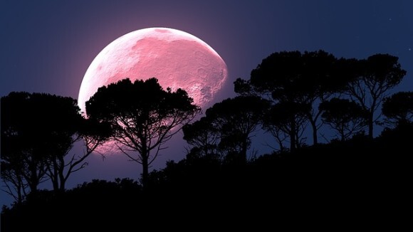 4月の満月はスーパームーン 今年一番明るく大きな月となるピンクムーンが4月7日深夜から8日 地球を明るく照らす ニコニコニュース
