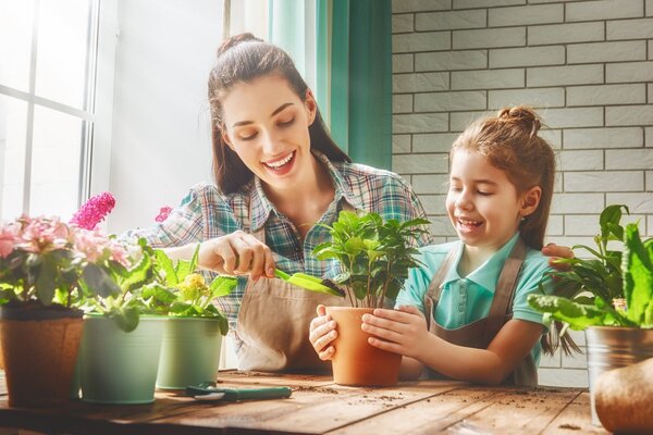 おうちに花を 簡単 おうち ベランダ栽培できる植物 8選 ニコニコニュース