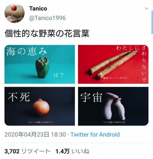 わたしにさわらないで 宇宙 意外な野菜の花言葉が話題に ニコニコニュース