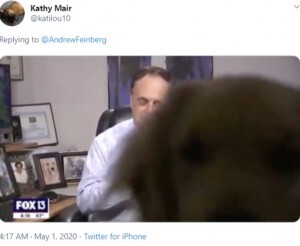 自宅から天気予報を伝えていたキャスター 飼い犬に画面を乗っ取られる 米 動画あり ニコニコニュース