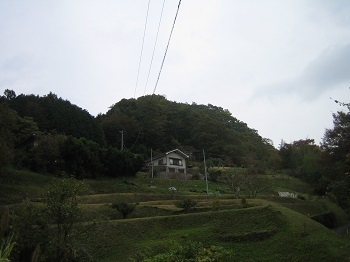画像ルポ 丑の刻参り まだやる人もいますよ 宮司に回収される呪いの藁人形 岡山県育霊神社を訪ねて ニコニコニュース