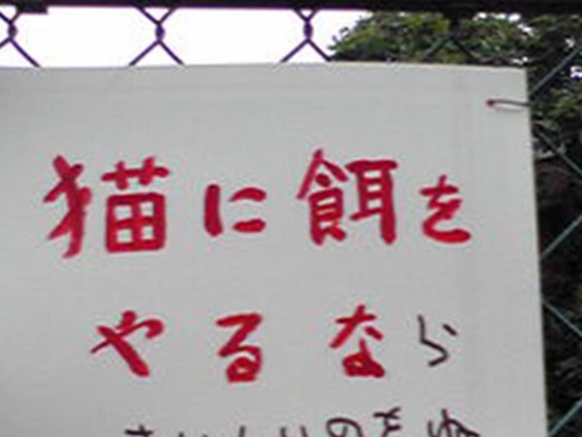 猫にエサをやるな ら 書き足された言葉に10万人が吹いた ニコニコニュース 猫にエサをやるな ら 書き足された言葉に10万人が吹いた ニコニコニュース