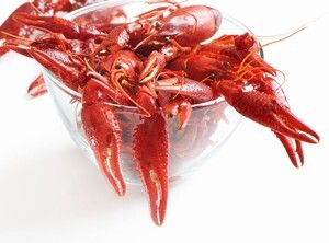 魚介大好きな日本人が ザリガニを食べないなんて信じられない 中国メディア ニコニコニュース 魚介大好きな日本人が ザリガニを食べないなんて信じられない 中国メディア ニコニコニュース