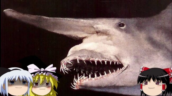 深海に住む神秘的な生き物たちを見てみよう ラブカ リュウグウノツカイ ブロブフィッシュ この世のものとは思えない恐怖の ニコニコニュース
