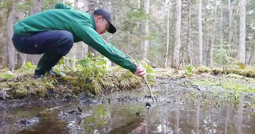 北海道 底無し沼を発見しました ただの小さい水溜りかと思って長い木の棒を入れたら底が無かったと話題に ニコニコニュース