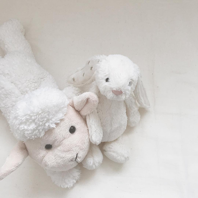 ニトリのぬいぐるみにハマる理由 手触り良好 あったかくて冷たい ニコニコニュース ニトリのぬいぐるみにハマる理由 手触り良好 あったかくて冷たい ニコニコニュース