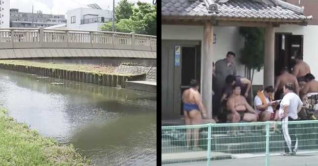 かっこいい 橋から川に飛び込んだ女性を相撲部屋の力士人が救助し話題に ニコニコニュース かっこいい 橋から川に飛び込んだ女性を相撲部屋の力士人が救助し話題に ニコニコニュース