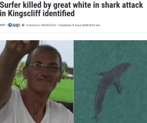 サーフィン中サメに襲われた60歳男性 友人ら果敢に救出も死亡 豪 動画あり ニコニコニュース サーフィン中サメに襲われた60歳男性 友人ら果敢に救出も死亡 豪 動画あり ニコニコニュース