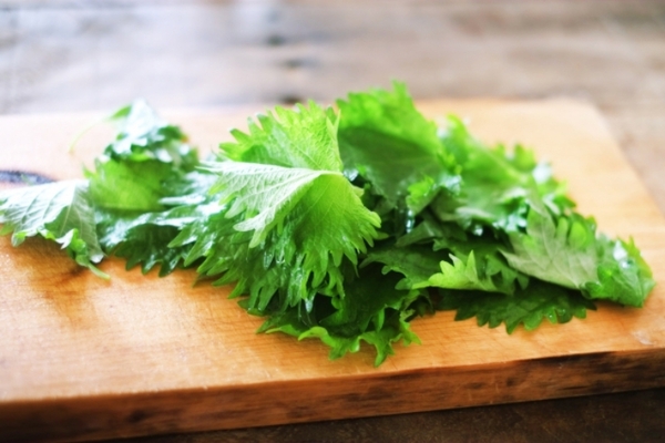 シソと大葉に違いがあるのかと思ったら同じものだった でもなぜ名前が違うの ニコニコニュース