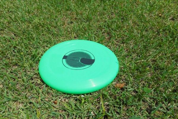 フリスビー競技が熱い アルティメットやディスカソンなど魅力的な競技がたくさん ニコニコニュース フリスビー競技が熱い アルティメットやディスカソンなど魅力的な競技がたくさん ニコニコニュース