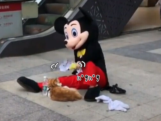 こう熱くっちゃよぅ お前も中の人大変よな 猫に風を送るミッキーマウス シュール ニコニコニュース こう熱くっちゃよぅ お前も中の人大変よな 猫に風を送るミッキーマウス シュール ニコニコニュース