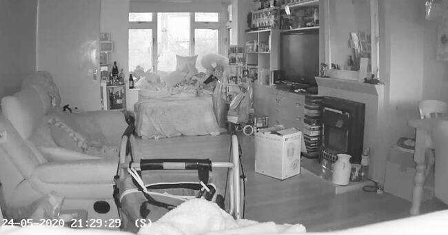 幽霊かな 会いに来たんだね 監視カメラに亡き愛猫のようなの姿が映り話題に ニコニコニュース 幽霊かな 会いに来たんだね 監視カメラに亡き愛猫のようなの姿が映り話題に ニコニコニュース