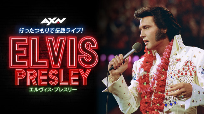 エルヴィス プレスリー 人気楽曲ランキング 結果発表 ファンが選ぶ人気楽曲no 1はあの究極のラブソング ニコニコニュース