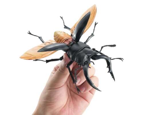 ガチャから出てくるクワガタがでかい でもやっぱりかっこいい ニコニコニュース ガチャから出てくるクワガタがでかい でもやっぱりかっこいい ニコニコニュース