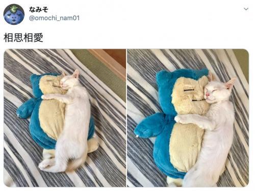 かわいすぎてキュン死 ニコニコニュース かわいすぎてキュン死 ニコニコニュース