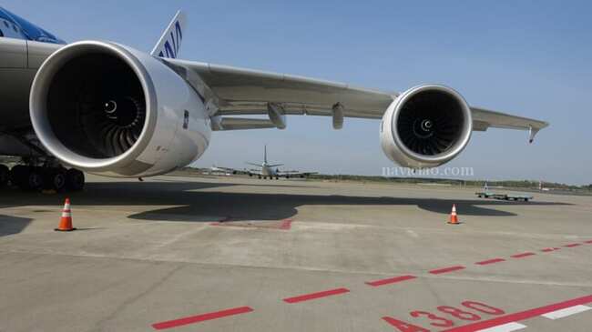 Ana Jal ハワイアン航空 がハワイ路線の11月末までの運休を発表 ニコニコニュース