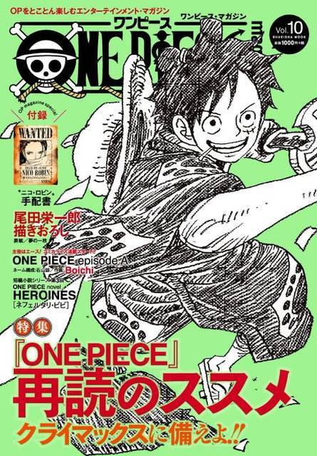 One Piece 麦わらの一味にはもう一人加入する 初期設定画に描かれている人物は ニコニコニュース