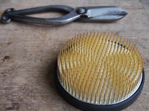 敷地に入らないで 侵入防止に 剣山 設置 ケガさせたら こちらの責任 ニコニコニュース