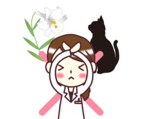 猫にとってユリ科植物は猛毒 獣医が警鐘 ニコニコニュース 猫にとってユリ科植物は猛毒 獣医が警鐘 ニコニコニュース