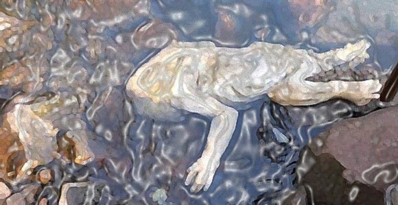地元では伝説の吸血uma チュパカブラ一択 パラグアイで発見された人間そっくりの指を持つ謎の水死体 閲覧注意 ニコニコニュース 地元では伝説の吸血uma チュパカブラ一択 パラグアイで発見された人間そっくりの指を持つ謎の水死体 閲覧注意 ニコニコニュース