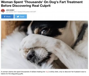 犬の オナラ治療 に数十万円の治療費を支払った女性 臭いの犯人が夫と判明し大激怒 ニコニコニュース 犬の オナラ治療 に数十万円の治療費を支払った女性 臭いの犯人が夫と判明し大激怒 ニコニコニュース