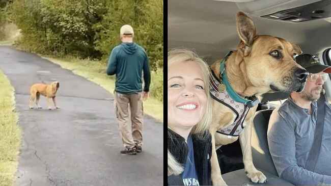 山で捨て犬を見つけた夫婦 信頼関係を築き少しづつ心を開かせていく1年間の記録 ニコニコニュース 山で捨て犬を見つけた夫婦 信頼関係を築き少しづつ心を開かせていく1年間の記録 ニコニコニュース