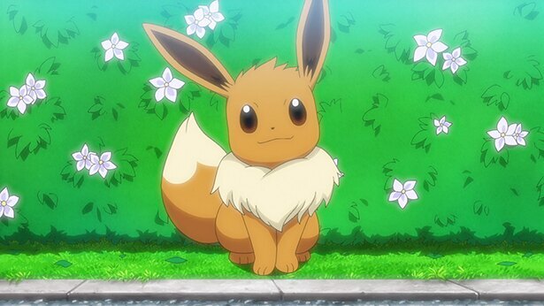 ポケットモンスター 第49話の先行カットが到着 特別なイーブイ が研究所から迷い出てしまい ニコニコニュース ポケットモンスター 第49話の先行カットが到着 特別なイーブイ が研究所から迷い出てしまい ニコニコニュース