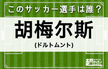 胡梅尔斯 このサッカー選手は誰 ニコニコニュース