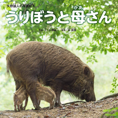 第1回日本写真絵本大賞 金賞受賞作 うりぼうと母さん の販売を開始 ニコニコニュース 第1回日本写真絵本大賞 金賞受賞作 うりぼうと母さん の販売を開始 ニコニコニュース