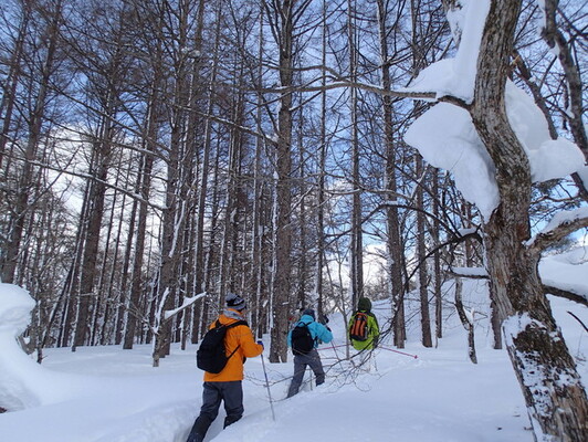 裏磐梯グランデコ東急ホテル 3密回避で家族だけで安心して楽しめる 雪上のプライベートツアーを販売開始 ニコニコニュース