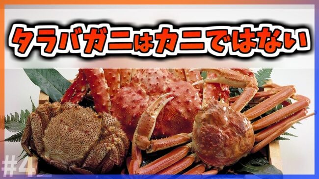 タラバガニはカニではない ってどういうこと ヤドカリの仲間 という生物学的な分類をゆっくり解説してみた ニコニコニュース タラバガニはカニではない ってどういうこと ヤドカリの仲間 という生物学的な分類をゆっくり解説してみた ニコニコニュース