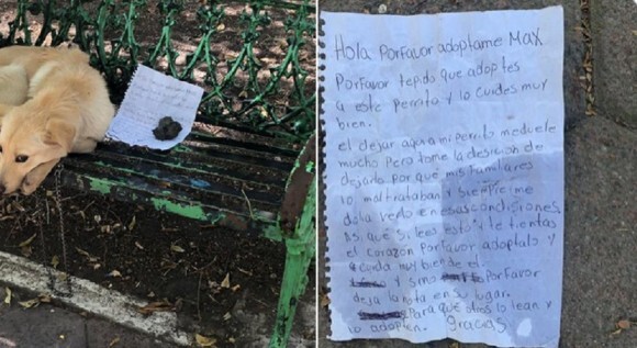 僕の親が犬をいじめています 誰か助けてください 子供が置き手紙と共に見知らぬ人に犬を託した思い メキシコ ニコニコニュース
