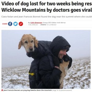 冬の山で2週間迷子だった大型犬 登山客が見つけ担いで下山 アイルランド 動画あり ニコニコニュース 冬の山で2週間迷子だった大型犬 登山客が見つけ担いで下山 アイルランド 動画あり ニコニコニュース