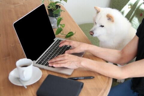 職場をかけ回る 社長の犬 動物アレルギーの社員は 咳がとまらない と息苦しさに悲鳴 ニコニコニュース 職場をかけ回る 社長の犬 動物アレルギーの社員は 咳がとまらない と息苦しさに悲鳴 ニコニコニュース