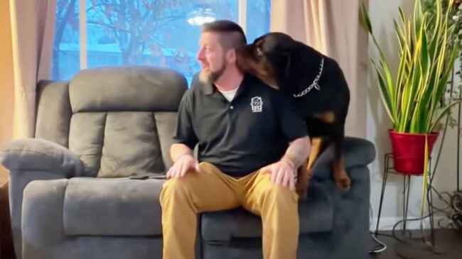 見えないふりをして犬の名前を呼び続けたら 可愛すぎることになったと話題に ニコニコニュース