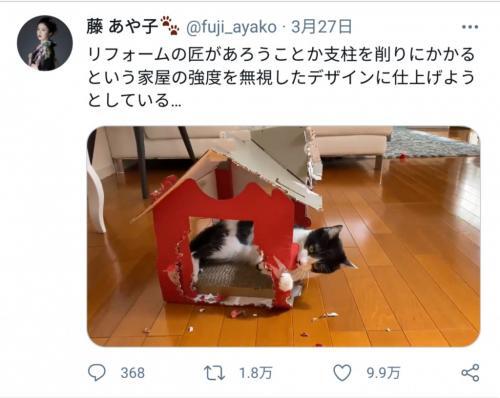 なんということでしょう 藤あや子さんの飼い猫 オレオちゃんによるリフォーム動画が話題に ニコニコニュース